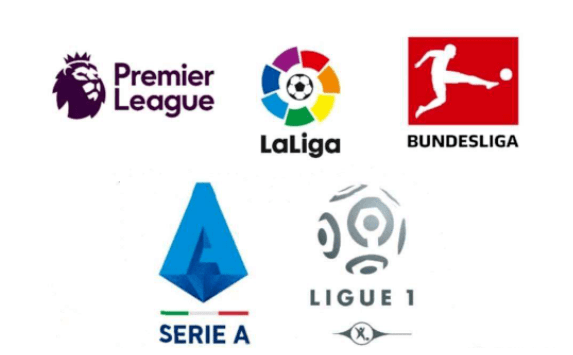 国家的集采 国家的集采